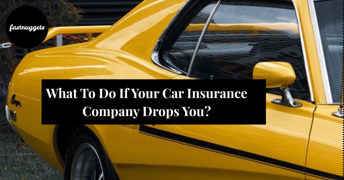 Car Insurance: What To Do If Your Car Insurance Company Drops You?